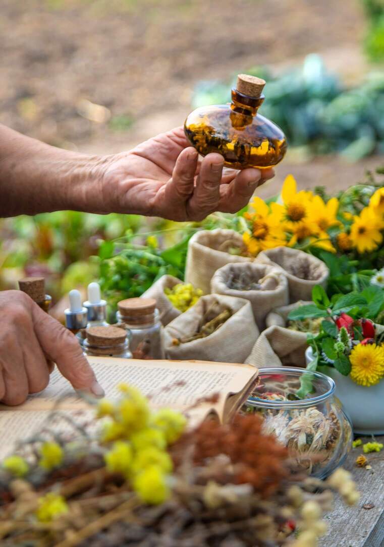 Ido Grinberg Using Healing Herbs in Transformative Practices